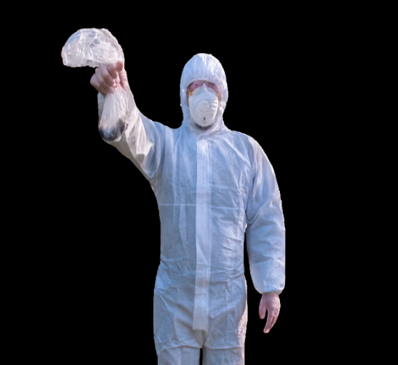 Step 2: Sourcing Premium Organic Material