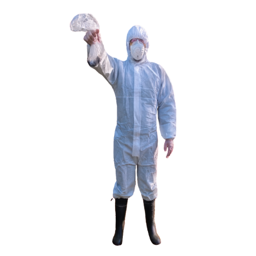 Shitoshi - Conceptual Artist